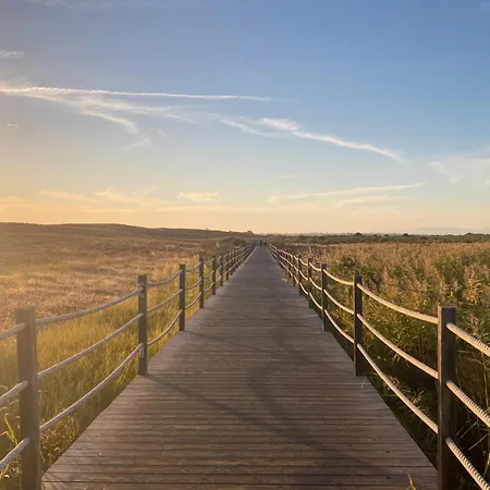 Dunes - Near The * Guia (Faro)