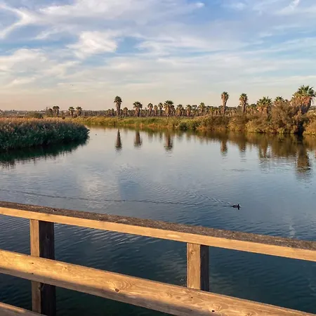Dunes - Near The Apartment Guia (Faro)
