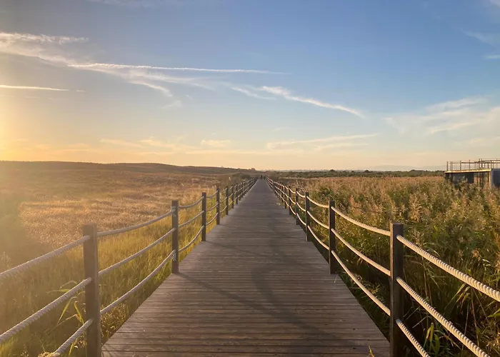 Dunes - Near The * 기아